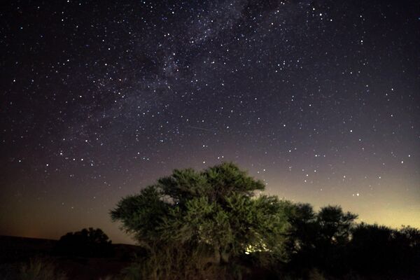 В это время в небе можно увидеть тысячи падающих звезд. На фото мтеорный дождь в Израиле. - Sputnik Казахстан