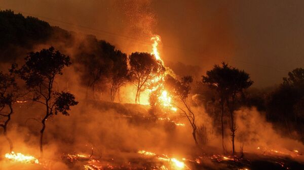 Лесной пожар в Турции - Sputnik Казахстан