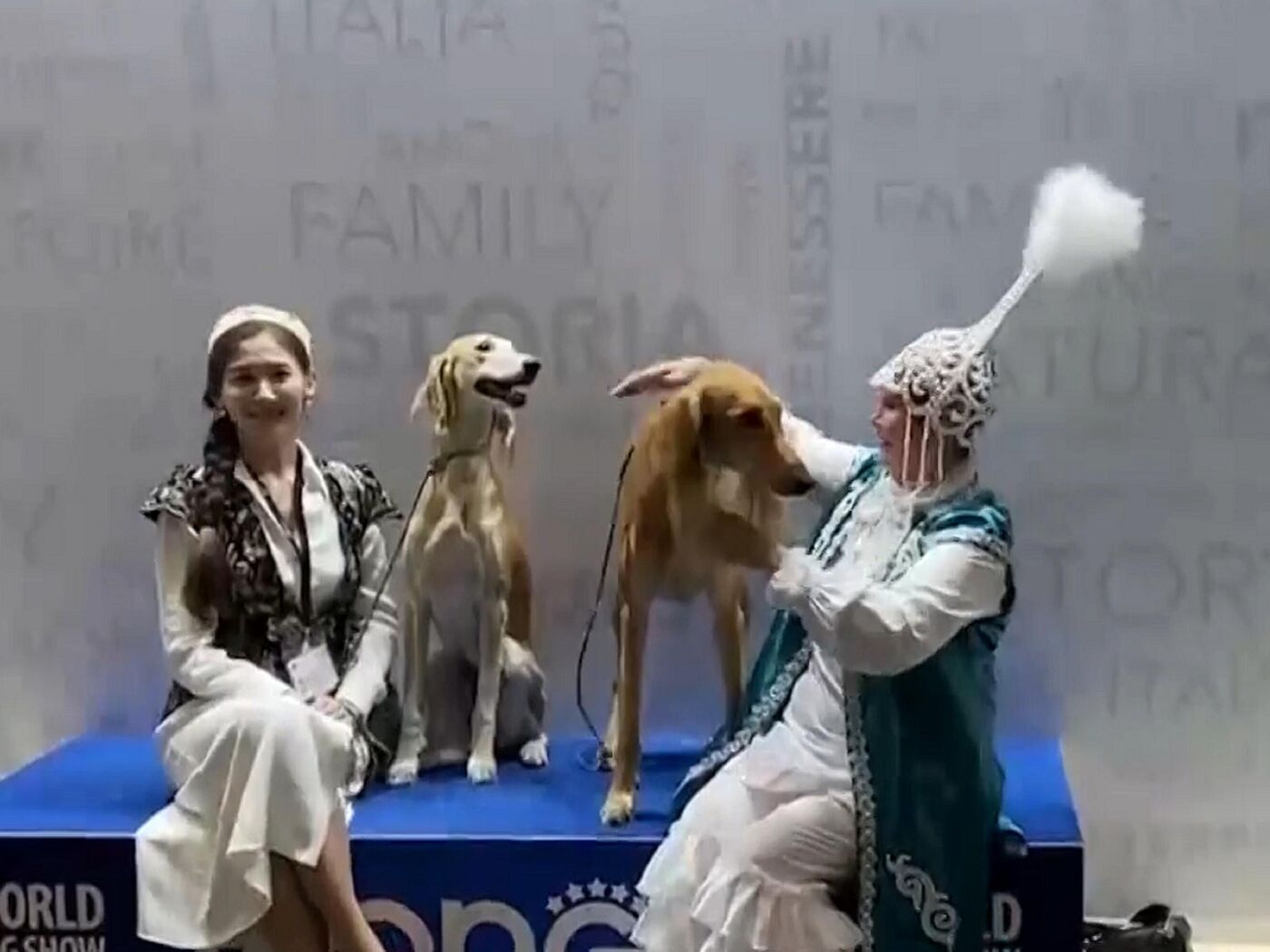 Казахская порода тазы взяла первое место на чемпионате мира World Dog Show  2023 - 27.08.2023, Sputnik Казахстан