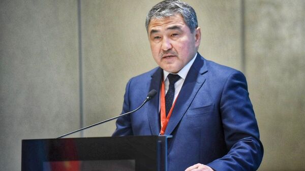 Конференция по казахстанско-китайскому сотрудничеству  - Sputnik Қазақстан