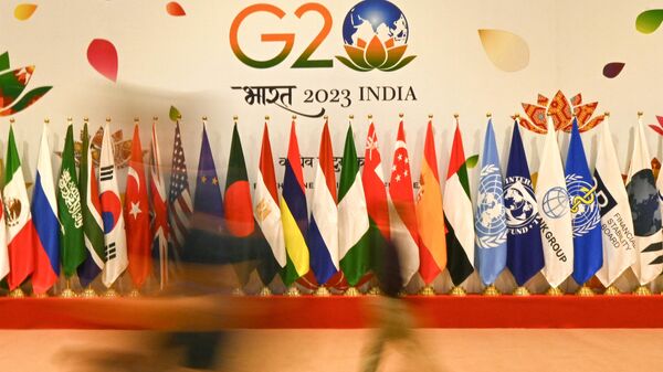 Флаги участников саммита  G20 - Sputnik Казахстан