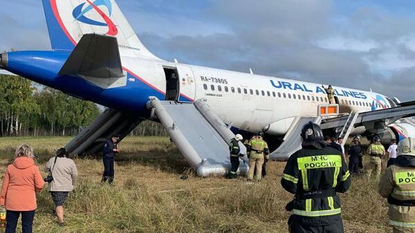 Пассажирский самолёт совершил вынужденную посадку в Новосибирской области  - Sputnik Казахстан