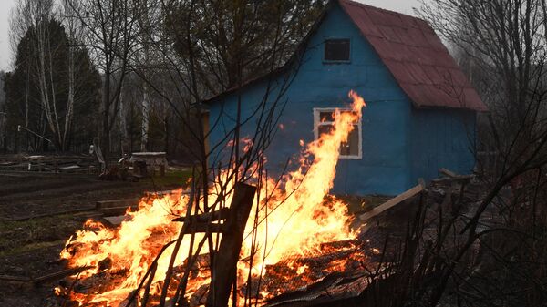 Огонь на дачном участке  - Sputnik Казахстан