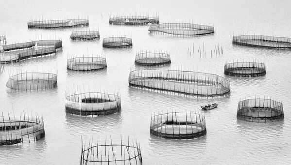 Так выглядят кустарные рыболовные загородки. Используя интересный ракурс, их снял на камеру Цзинъи Ван, Китай.  - Sputnik Казахстан