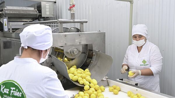 Замороженный картофель-фри начали производить в Кызылорде - Sputnik Казахстан