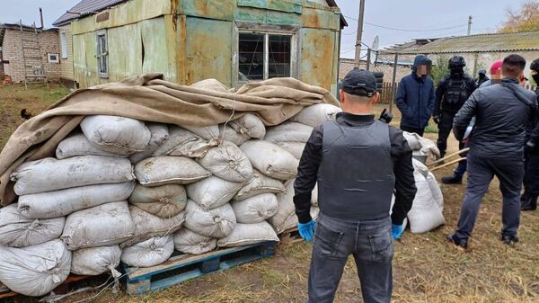 Преступную группу, добывшую 15 тонн ценного рачка, задержали на севере Казахстана - Sputnik Казахстан