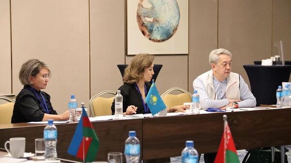 В Астане состоялось XXX заседание экспертов Координационного совета руководителей налоговых служб государств – участников СНГ - Sputnik Казахстан
