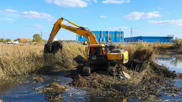 Реку Акбулак избавят от 2 метров донных отложений - Sputnik Казахстан