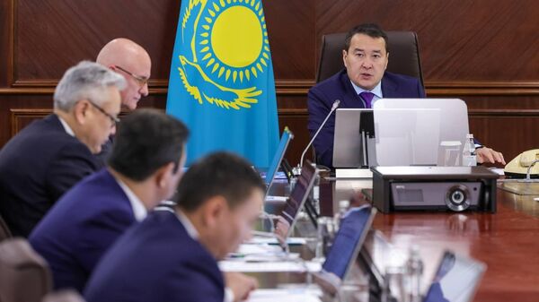 В правительстве обсудили помощь пострадавшим от погоды аграриям - Sputnik Казахстан