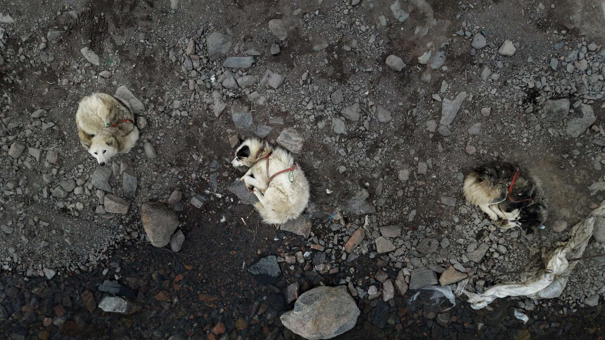 ВК-да үйленген әйелмен порно Еңбек мигранттарымен жыныстық қатынас видеосы