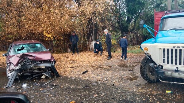 Четверо детей пострадали в страшном ДТП с грузовиком в Жетысу - Sputnik Казахстан