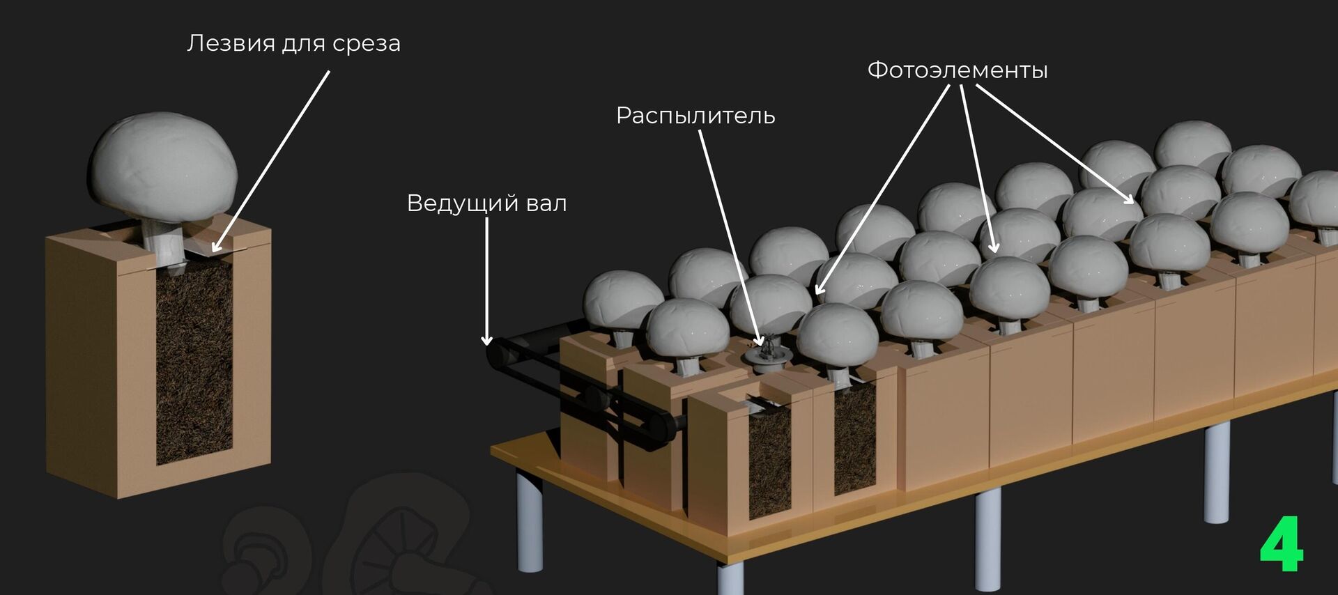 Схема грибной фермы  - Sputnik Казахстан, 1920, 17.10.2023