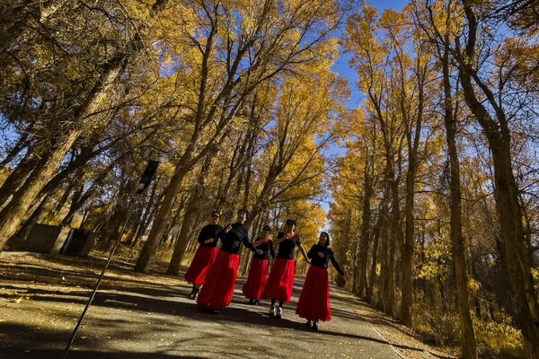 Женщины снимают на телефон свой танец вдоль дороги, окруженной populus euphratica Oliv, редким, древним и находящимся под угрозой исчезновения видом деревьев в уезде Цзинта, провинция Ганьсу на северо-западе Китая. - Sputnik Казахстан