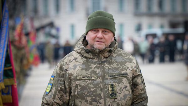 Главнокомандующий Вооруженными силами Украины Валерий Залужный  - Sputnik Казахстан