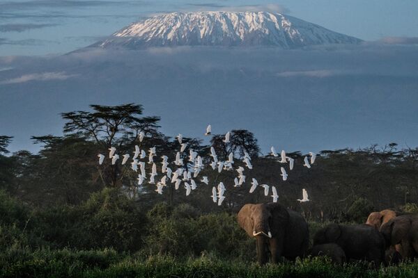 Гора Килиманджаро, Танзания. Каждый год тут умирает 10 человек из-за высотной болезни. - Sputnik Казахстан