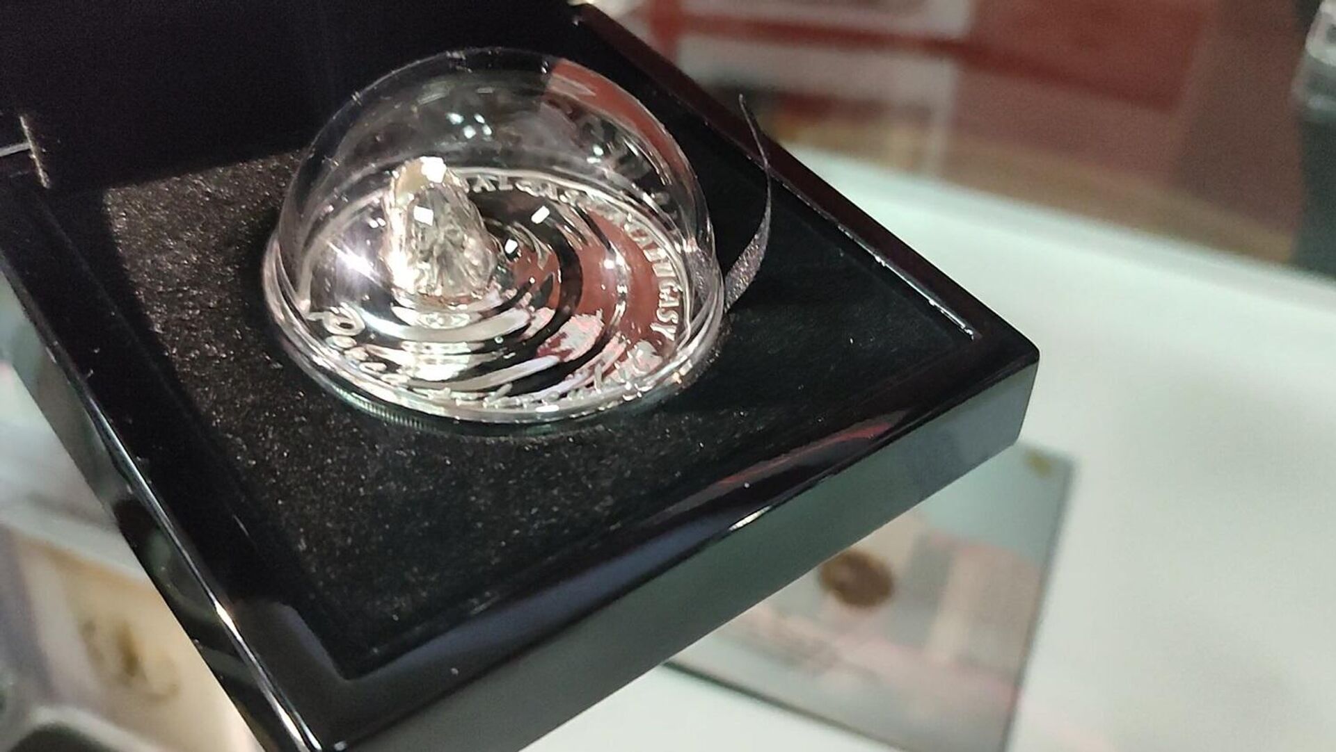 Монета Балхашский окунь - ручной чеканки. На ее изготовление ушло полтора года - Sputnik Казахстан, 1920, 08.11.2023