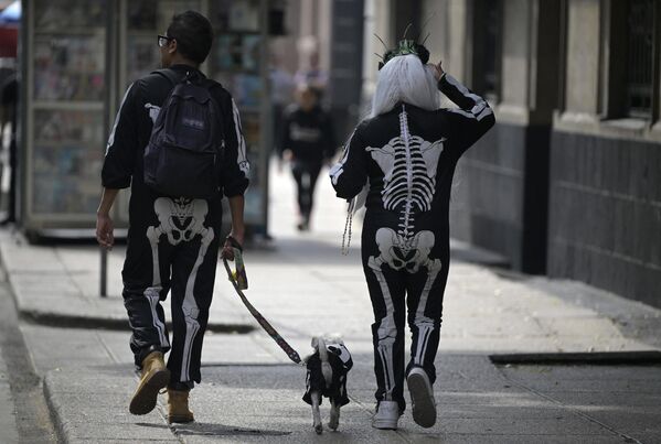 То же случилось с парой, которая прогуливалась с собакой во время празднования Дня мертвых в Мехико, Мексика. - Sputnik Казахстан