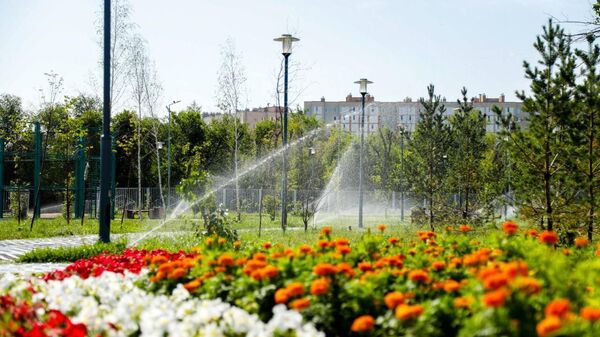 В Астане разрабатывают Устав озеленения - Sputnik Казахстан