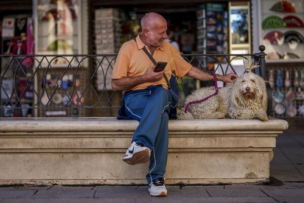 Мужчина отдыхал со своей собакой в Севилье, Испания. - Sputnik Казахстан