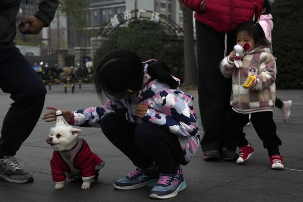 Ребенок надевает волан на собаку в Пекине, Китай. - Sputnik Казахстан