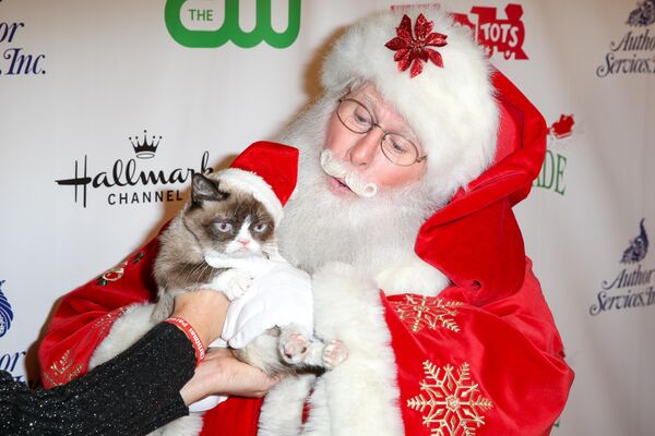 Рождественский Grumpy Cat на ежегодном Голливудском рождественском параде в Лос-Анджелесе․ - Sputnik Казахстан
