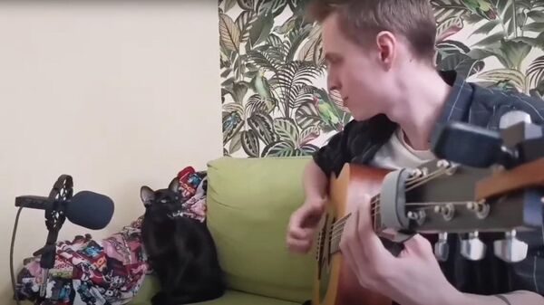 Кот поет блюз, пока хозяин играет на гитаре  - видео - Sputnik Казахстан