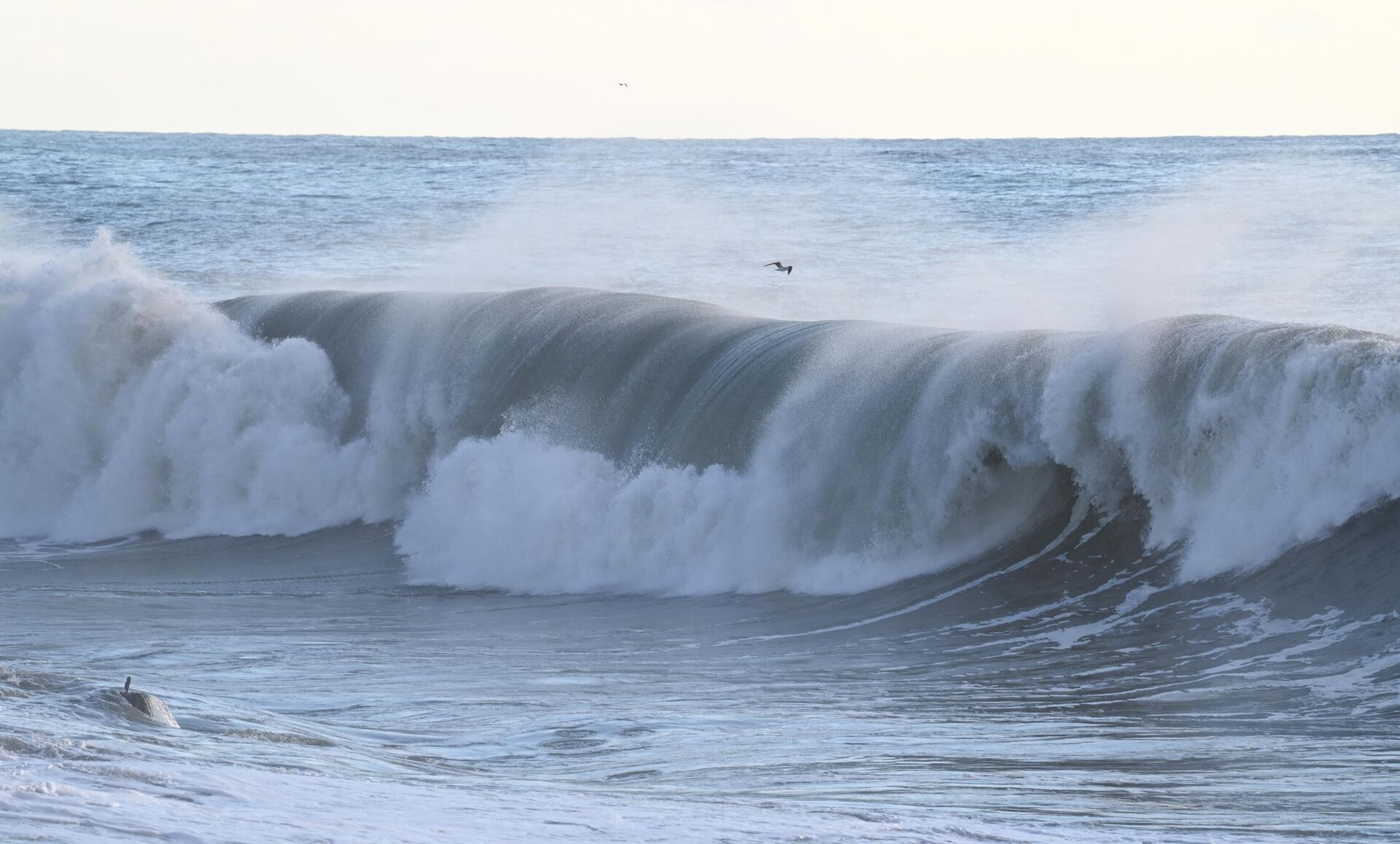 Шторм в Сочи - Sputnik Казахстан, 1920, 21.03.2026