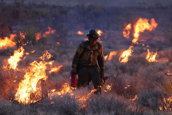 В  пустыне Мохаве, в Калифорнии, в этом году вспыхнул крупнейший пожар. Это самый крупный пожар года в Калифорнии. Пострадали знаменитые деревья Джошуа. - Sputnik Казахстан