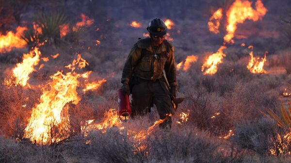 Сильный пожар в заповеднике Мохаве в Калифорнии, США, 31 июля 2023 года - Sputnik Казахстан