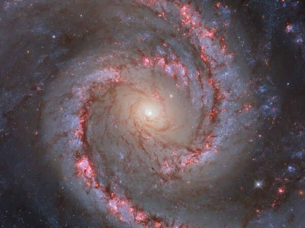 Спиральная галактика NGC 1566, так же известная как &quot;Галактикой Испанской танцовщицы&quot;. - Sputnik Казахстан