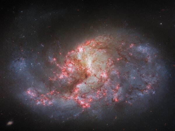 Жерден шамамен 30 миллион жарық жыл қашықтығында орналасқан NGC 1385 спиральды галактикасы. - Sputnik Қазақстан