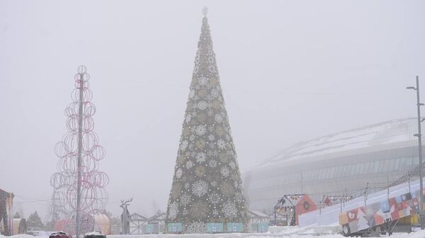 Зимний туман в Астане - Sputnik Казахстан