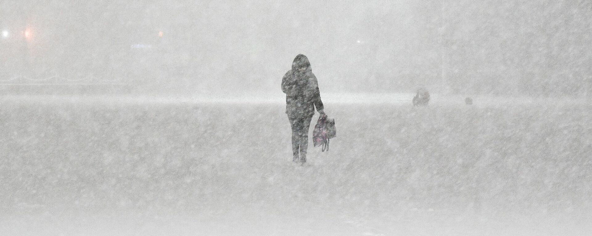Женщина идёт по улице во время снегопада - Sputnik Казахстан, 1920, 27.12.2023
