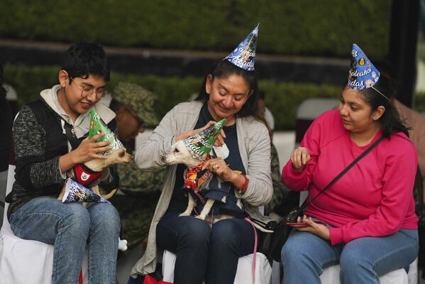 Гости на вечеринке по случаю первого дня рождения поисковой собаки Аркадаса в Мехико. - Sputnik Казахстан