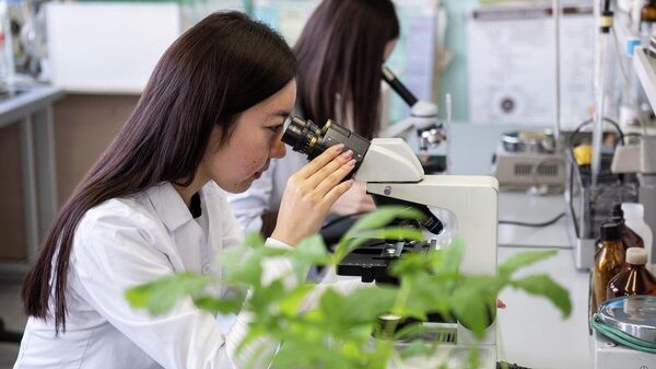 В лаборатории ЖенПУ ученые исследуют лекарственные свойства растений - Sputnik Казахстан