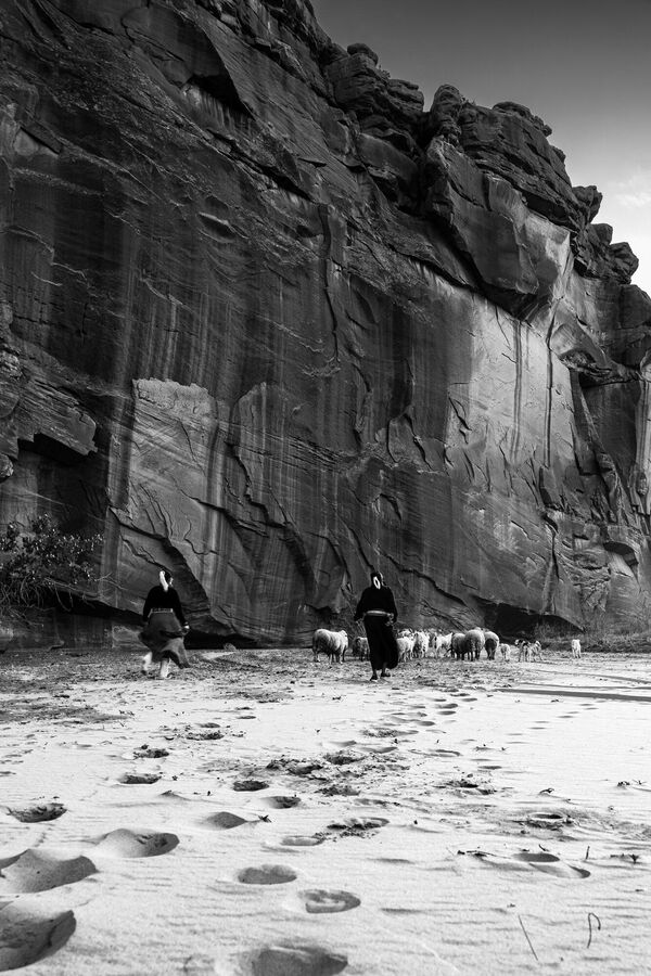 Мать и дочь пасут овец вдоль высоких стен из песчаника каньона де Челли в штате Навахо, духовной родине коренного народа дине (навахо), который населяет эту землю более 5000 лет. Женщины толпятся у подножия высокого утеса. Фотограф следует за ними, запечатлевая их следы.Снимок фотографа из США Caden Shepard Choi. - Sputnik Казахстан