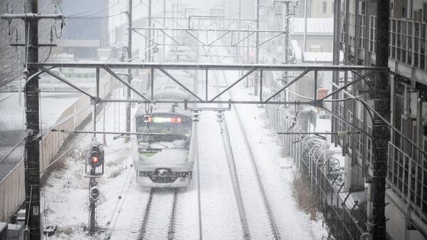 Во время снегопада в Токио  - Sputnik Казахстан