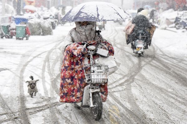 Холодно однако! На фото: женщина на скутере с собакой во время сильного снегопада в Хуайане, провинция Цзянсу, Восточный Китай. - Sputnik Казахстан