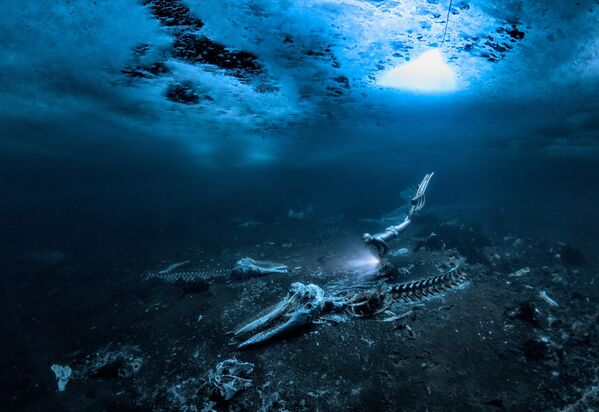 Снимок &quot;Остов кита&quot; шведского фотографа Алекса Доусона.  - Sputnik Казахстан