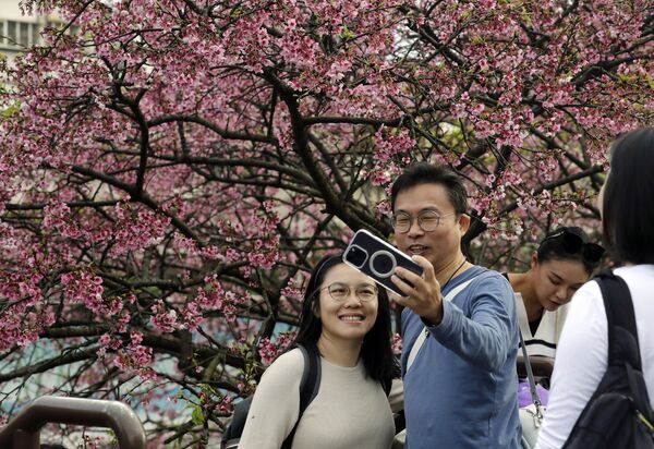Люди фотографируются на фоне цветущей сакуры во время празднования китайского лунного Нового года в Тайбэе, Тайвань. - Sputnik Казахстан
