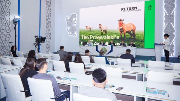 Проект по возвращению лошади Пржевальского в Казахстан - Sputnik Казахстан