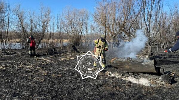 Тушение возгорания тростниковой растительности в Атырауской области - Sputnik Казахстан
