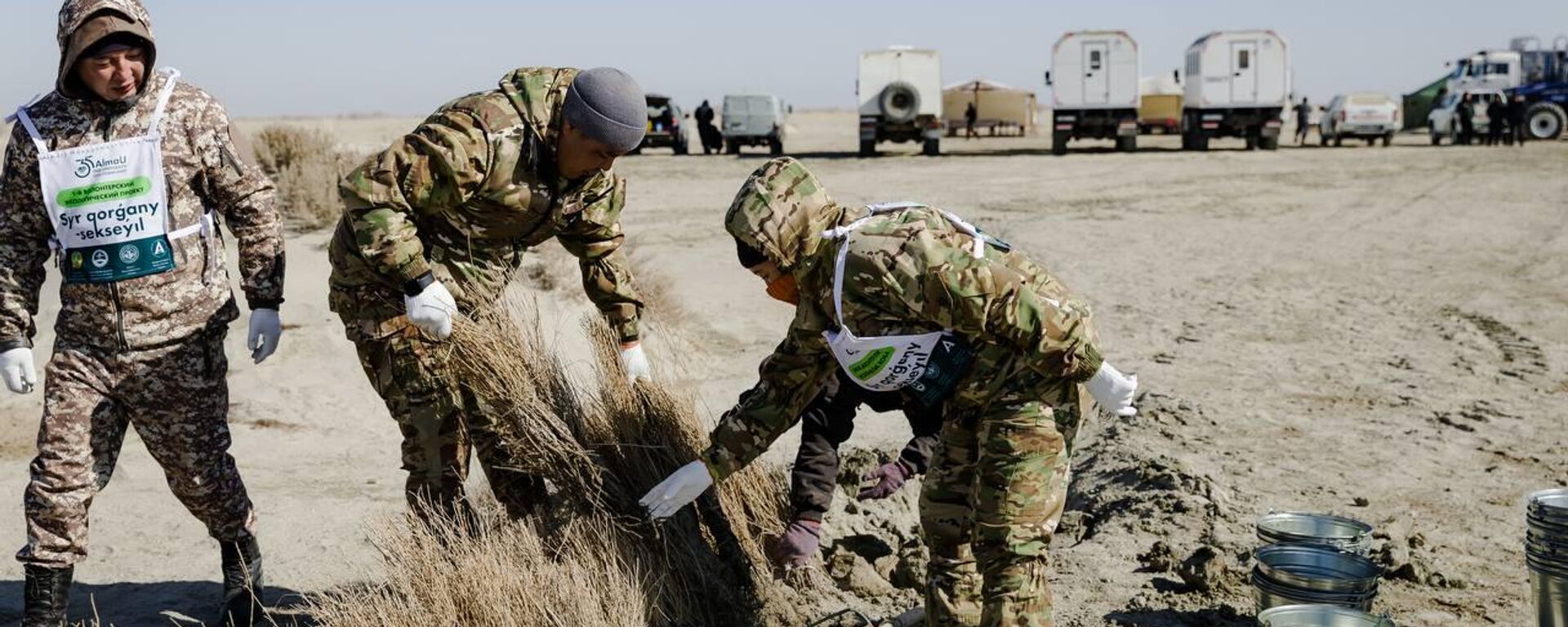 Аралда көшет отырғызу - Sputnik Қазақстан, 1920, 20.03.2026