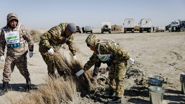 Аралда көшет отырғызу - Sputnik Қазақстан