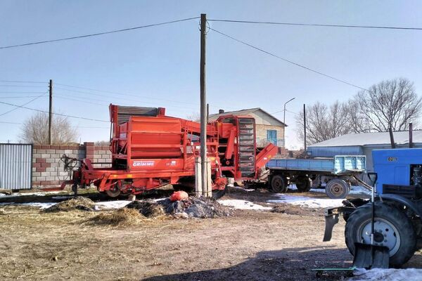 Алматы және Жамбыл облыстарында мыңдаған тонна пияз өтпей тұр  - Sputnik Қазақстан