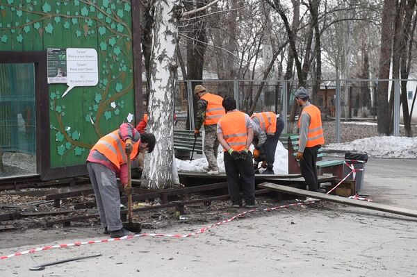 В Алматинском зоопарке полным ходом идут подготовительные работы к новому сезону - Sputnik Казахстан