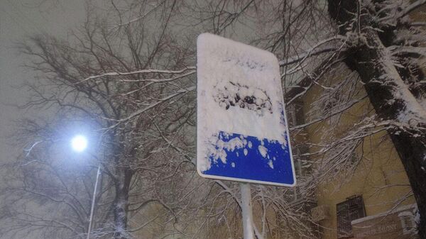 Весенний снегопад в Алматы - Sputnik Казахстан