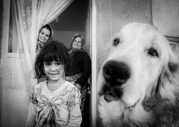 Фотограф Сейед Али Хоссейни Фар, снимок &quot;Зейнаб и ее старая собака&quot;.&quot;Зайнаб - добрая шестилетняя девочка из деревни Азад Манджир в Иране, у которой есть старая и добрая собака по кличке Пашмалу. Ей очень нравится этот старый пастуший пес, и она научила его здороваться с людьми рукопожатием&quot;, - рассказал фотограф.  - Sputnik Казахстан