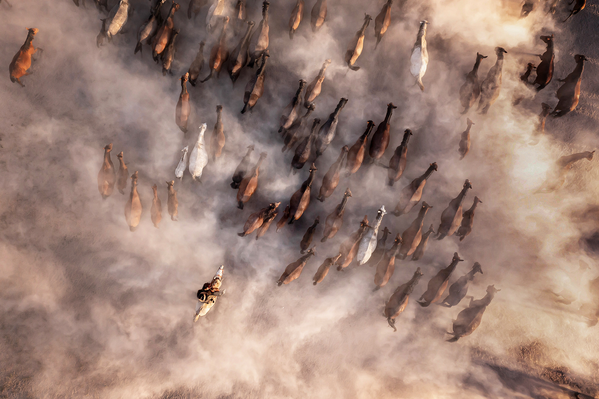 Автор снимка Ф.Дилек Юрдакул &quot;Бегущие в облаках&quot;. В кадре: табун лошадей снятый с высоты с помощью  беспилотника. - Sputnik Казахстан