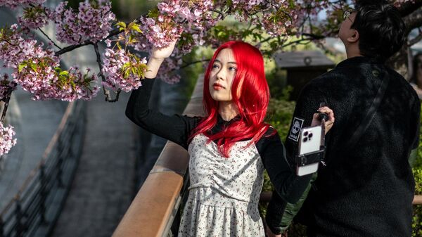 Цветение вишни в Токио - Sputnik Казахстан